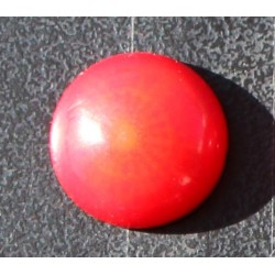 6.0 Carat 100% Natural Coral Gemstone Ocean Sea Product No 058