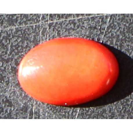 2.5 Carat 100% Natural Coral Gemstone Ocean Sea Product No 0130