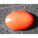 2.5 Carat 100% Natural Coral Gemstone Ocean Sea Product No 0130