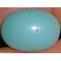 Turquoise 7.70 CT Sky Blue Gemstone 0344