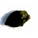 Crystal Peridot 12.5 CT Afghanistan Gemstone 001