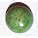 JADE NEPHRITE  48.5 CT Green Gemstone Afghanistan 0010