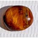 Tiger Eye 7.0 CT Gemstone Srilanka 0049