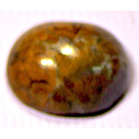 Jasper 19.5  CT Gemstone Afghanistan 0007