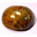Jasper 19.5  CT Gemstone Afghanistan 0007