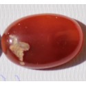 41 Carat 100% Natural Agate Gemstone Afghanistan Product No 170