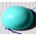2.5 Carat 100% Natural Turquoise Gemstone Afghanistan Product No 102