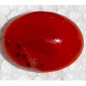 16.5 Carat 100% Natural Agate Gemstone Afghanistan Product No 230