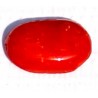 2.5 Carat 100% Natural Coral Gemstone Ocean Sea Product No 016