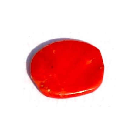 1.5 Carat 100% Natural Coral Gemstone Ocean Sea Product No 025