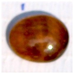 2.5 Carat 100% Natural Tiger Eye Gemstone Srilanka Product No 151