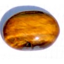 8 Carat 100% Natural Tiger Eye Gemstone Srilanka Product No 224