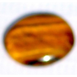 5 Carat 100% Natural Tiger Eye Gemstone Srilanka Product No 227