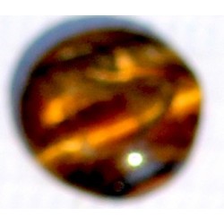 7 Carat 100% Natural Tiger Eye Gemstone Srilanka Product No 232