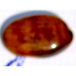 8 Carat 100% Natural Tiger Eye Gemstone Srilanka Product No 233