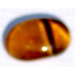 5.5 Carat 100% Natural Tiger Eye Gemstone Srilanka Product No 230