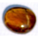7.5 Carat 100% Natural Tiger Eye Gemstone Srilanka Product No 235