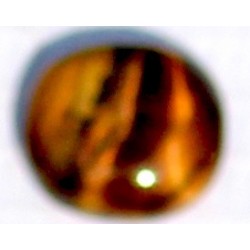 4 Carat 100% Natural Tiger Eye Gemstone Srilanka Product No 236