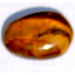 7.5 Carat 100% Natural Tiger Eye Gemstone Srilanka Product No 242