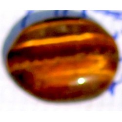 8 Carat 100% Natural Tiger Eye Gemstone Srilanka Product No 244