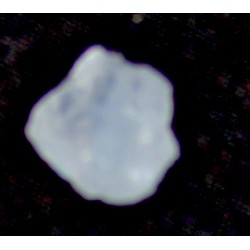 7.00 Carat 100% Natural Moonstone Gemstone Afghanistan Product no 053