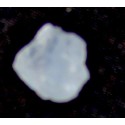 7.00 Carat 100% Natural Moonstone Gemstone Afghanistan Product no 053