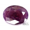 Ruby 3.5 CT Oval Red Gemstone Kashmir 0188