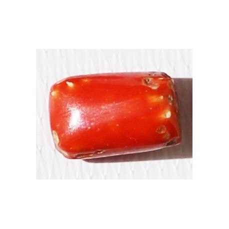 4 Carat 100% Natural Coral Gemstone Ocean Sea  Ref: Product No 008