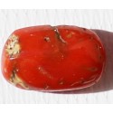 6.5 Carat 100% Natural Coral Gemstone Ocean Sea  Ref: Product No 017