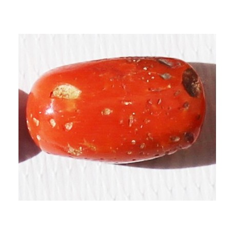 9.5 Carat 100% Natural Coral Gemstone Ocean Sea  Ref: Product No 024