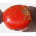 12.5 Carat 100% Natural Coral Gemstone Ocean Sea  Ref: Product No 025