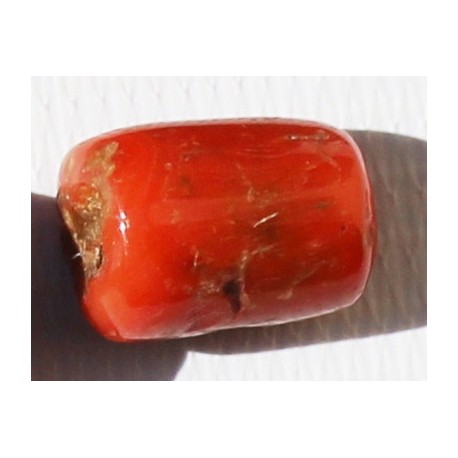 12.5 Carat 100% Natural Coral Gemstone Ocean Sea  Ref: Product No 026