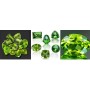 Buy Peridot Gemstone